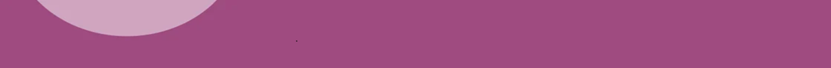 Banner 1
